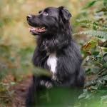 Oak | Chel | Eamon's profile picture