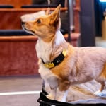@aircorg Instagram Profile