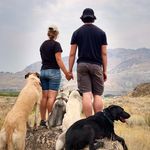 Jaidyn + Johnny | Dog Psychology | Dog Training | Edmonds WA's profile picture