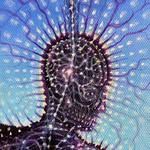 @bradleysnookart Instagram Profile