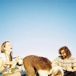 @brennaharding Instagram Profile