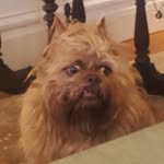 @chikn.little Instagram Profile