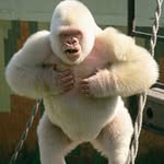 @curmelmoton1 Instagram Profile