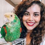 @doctorsydney_dvm Instagram Profile