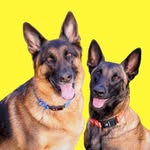 @dukeandduchessduo Instagram Profile