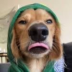 @itsyaboy_winston Instagram Profile