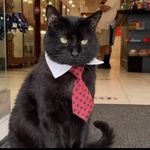 @jeremy.the.manager Instagram Profile
