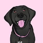JOSIE | The Black Lab's profile picture