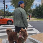 @kovubp Instagram Profile