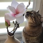 @loveyoustepan Instagram Profile