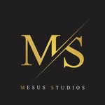 @mesus.studios Instagram Profile