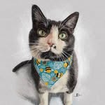 Otis 🐈⬛'s profile picture