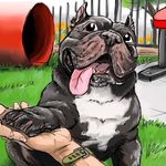 @piggiebully Instagram Profile