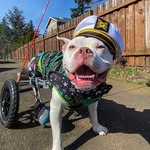 @pnw_captain_jack Instagram Profile