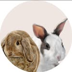 Influencer's profile picture