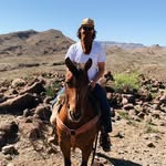 @vincentcross Instagram Profile