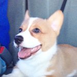 SIR WESFORD & BRADFORD's profile picture