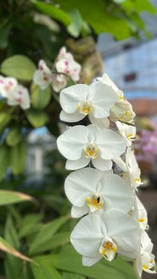 Instagram post by @_easyaa