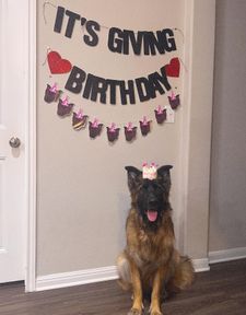 Instagram post by @alexaregarcia