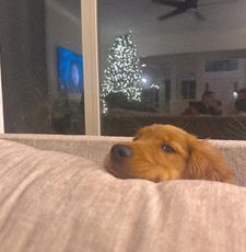 Instagram post by @alexaregarcia