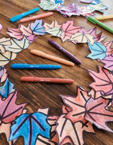 Instagram post by @alexisamomdotcom