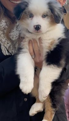 Instagram post by @allieholt_