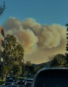 Instagram post by @andrearene_