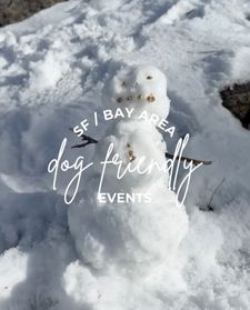 Instagram post by @approvedbydog