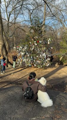 Instagram post by @ashyi