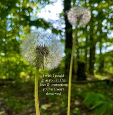 Instagram post by @astraljay