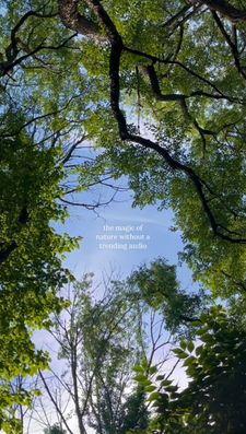 Instagram post by @astraljay