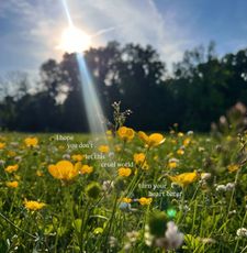 Instagram post by @astraljay