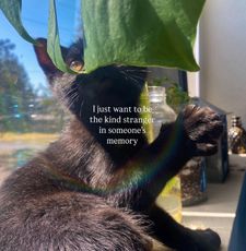 Instagram post by @astraljay