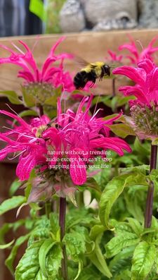 Instagram post by @astraljay