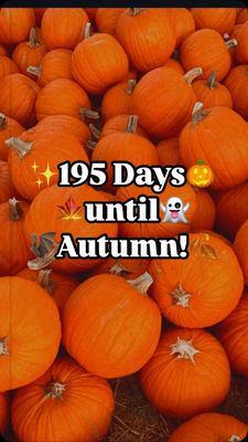 Instagram post by @autumnspumpkin