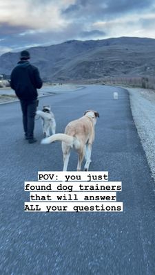 Instagram post by @balanced_k9ines