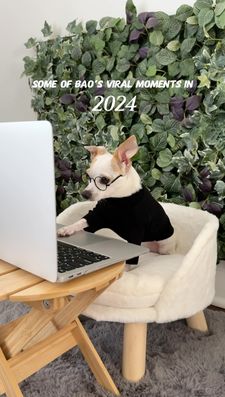 Instagram post by @baothechi
