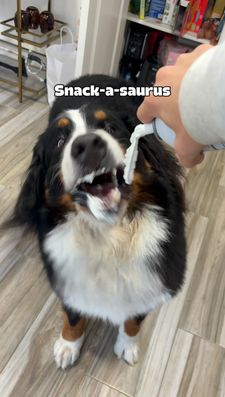 Instagram post by @bigcitybernie