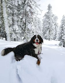 Instagram post by @bigcitybernie