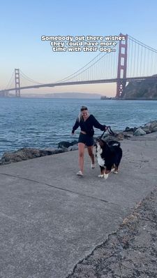 Instagram post by @bigcitybernie