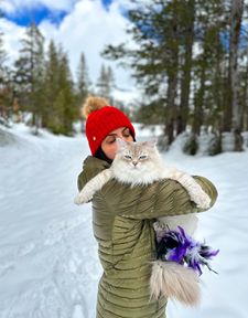 Instagram post by @bowie_the_siberian