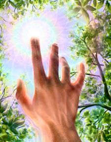 Instagram post by @bradleysnookart