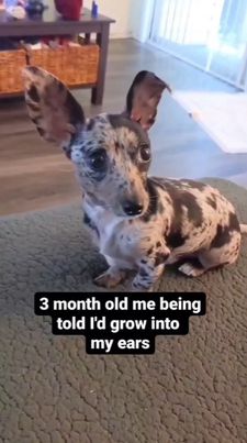Instagram post by @bygollymisterollie