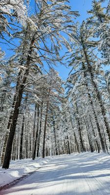 Instagram post by @bytatianaariel