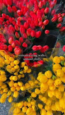 Instagram post by @bytatianaariel