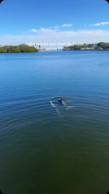 Instagram post by @caiti_mackenzie