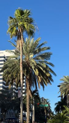 Instagram post by @caiti_mackenzie