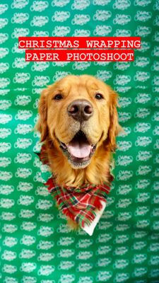 Instagram post by @cami_griffith