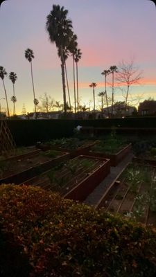 Instagram post by @carmeninthegarden