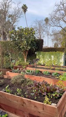 Instagram post by @carmeninthegarden